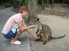 085 Port Douglas Wildlife Habitat